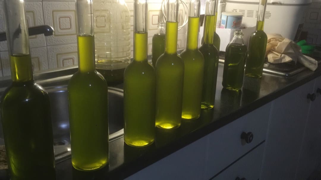 Alquimia Verde Degustación de Aceite Varias Botellas